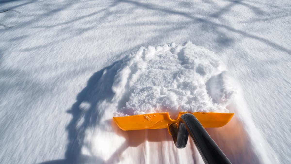 The Best Snow Shovels Consumer Reports